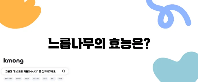 느릅나무의 10가지 효능과 함께 알아보는 부작용!