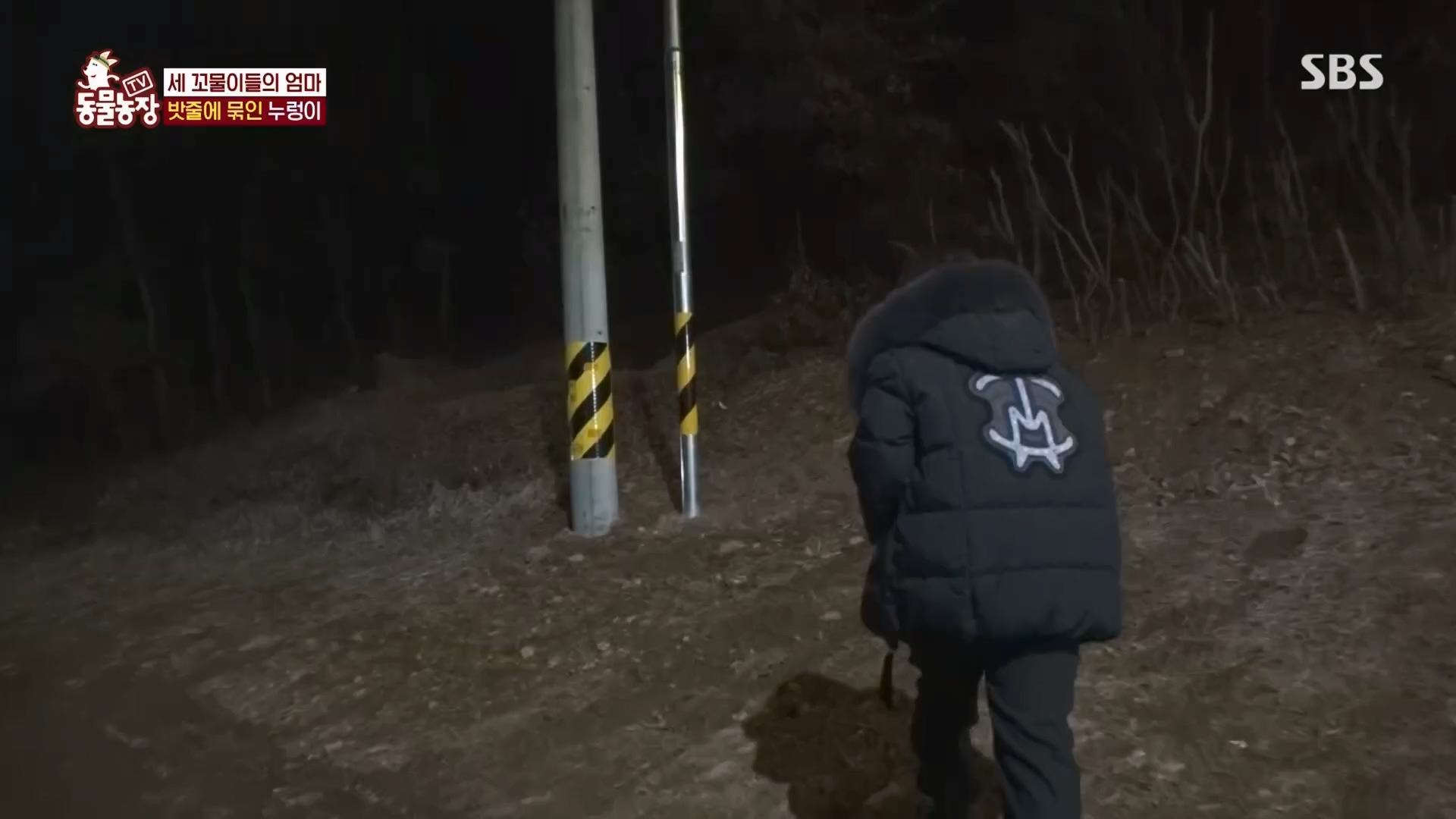 TV 동물농장.E1159.240218p.H264-F1RST.mp4_20240218_170011.924.jpg