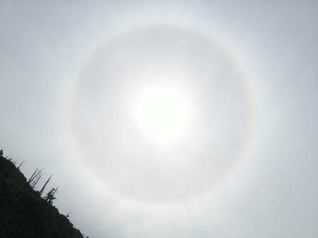 SunDog