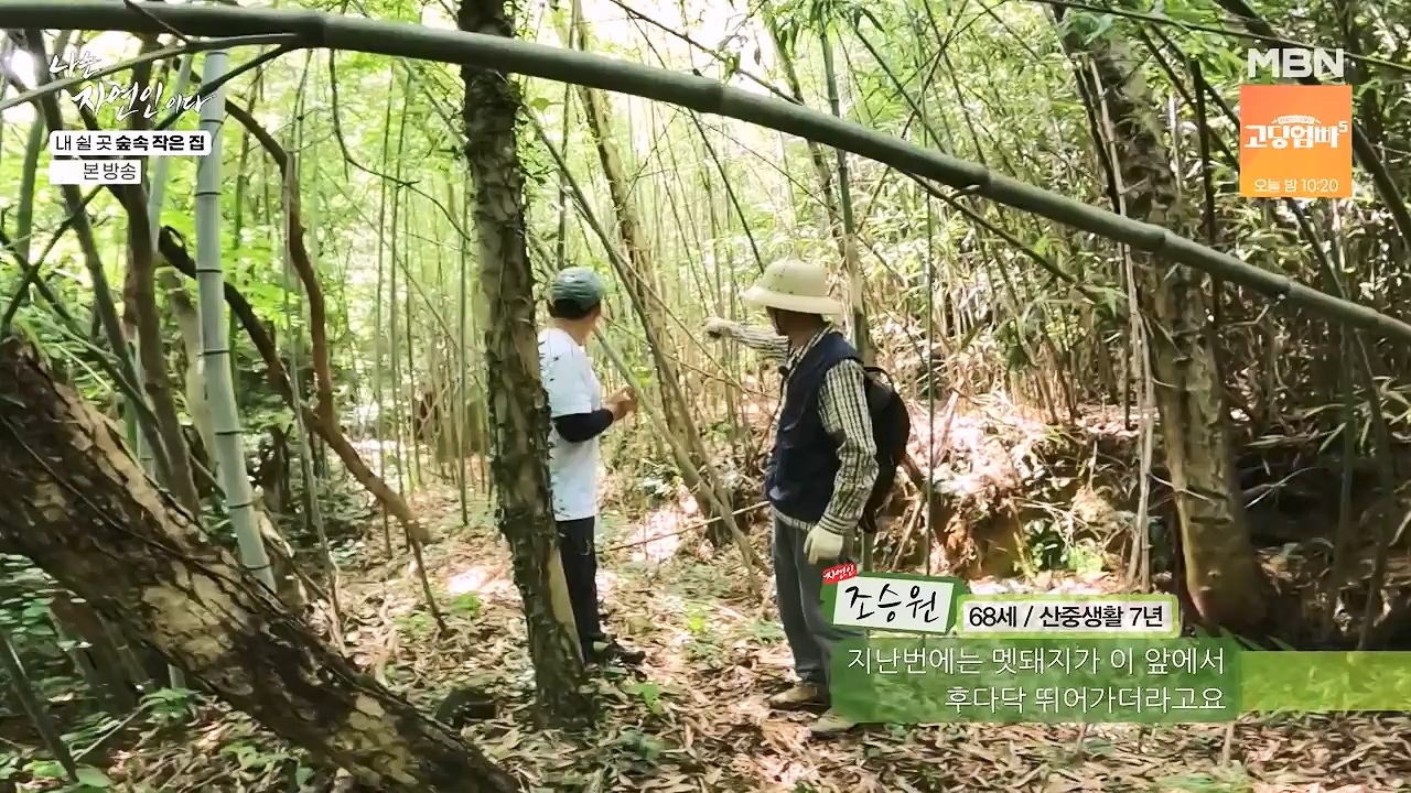 나는 자연인이다.E613.240711p-NEXT.mp4_20240711_195301.286.jpg