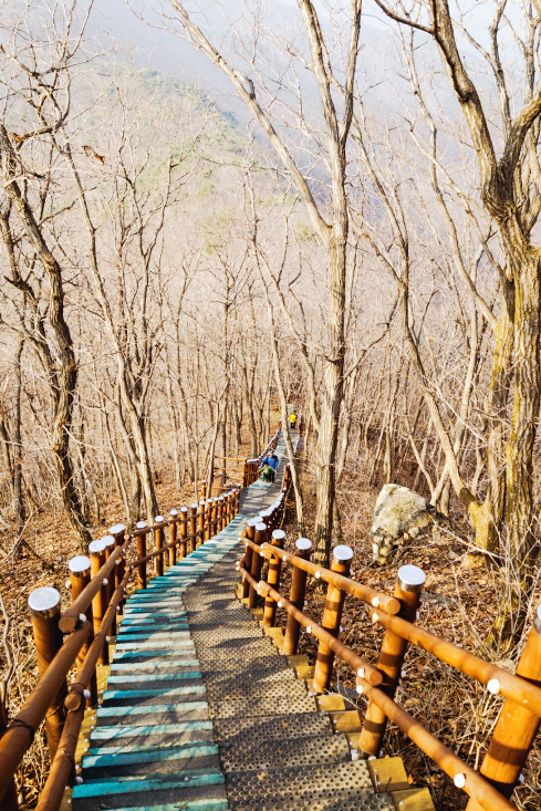 한국 명산 충남 청양 칠갑산 등산 mountain hiking