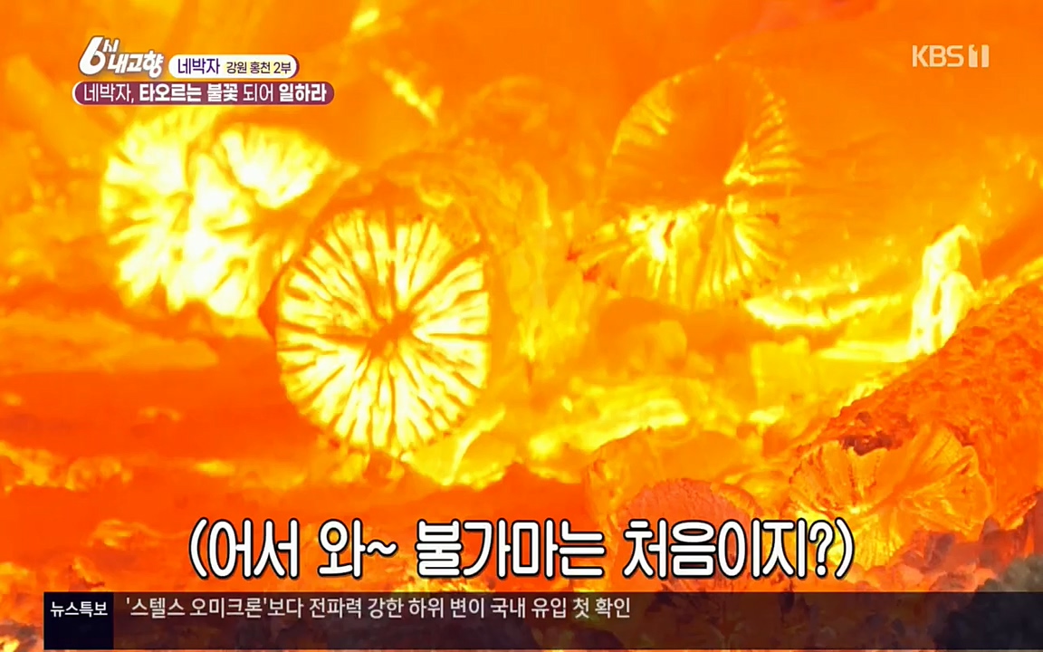 6시 내고향.E7530.220512p.H264-F1RST.mp4_20220516_191221.760.jpg