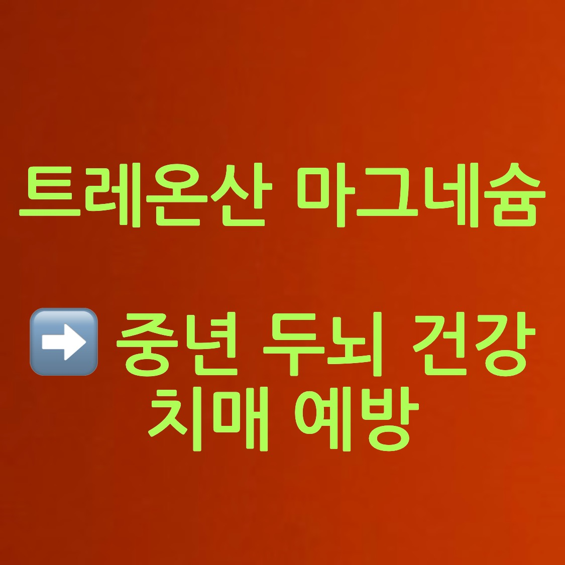 트레온산 마그네슘 글 사진