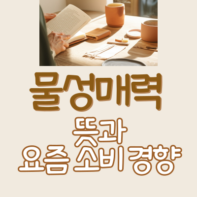 물성매력 뜻 의미 요즘 2025 소비 경향 트렌드