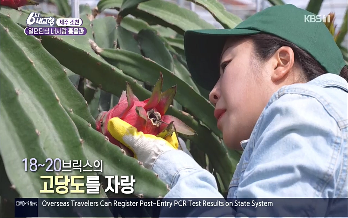 6시 내고향.E7617.220915p.H264-F1RST.mp4_20220916_213053.929.jpg