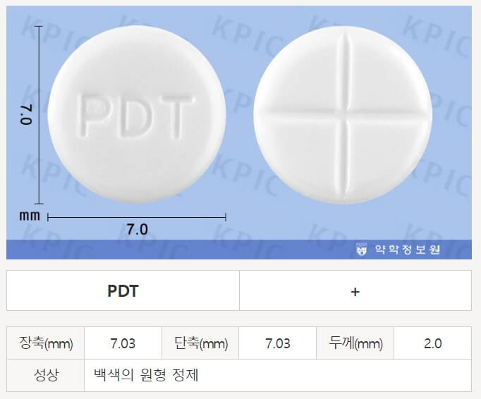 피디정 가격