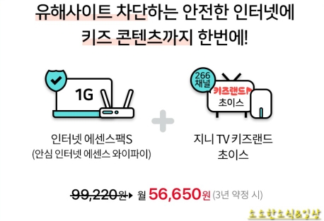 KT 인터넷 TV 결합 키즈 상품