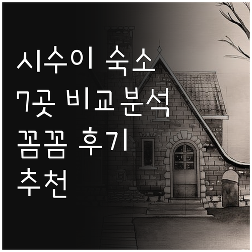 시수이 숙소 추천 7곳 비교분석 꼼꼼