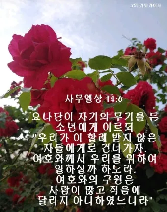 사무엘상 15장 22절 순정 제사의 잠언_23