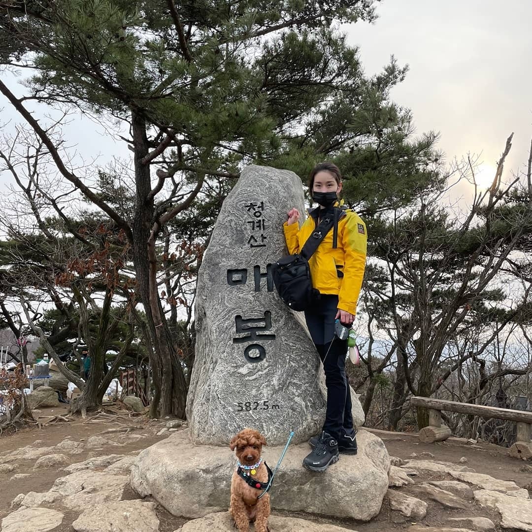  청계산 우회등산코스로 블랙야크100대명산 2번째 인증!