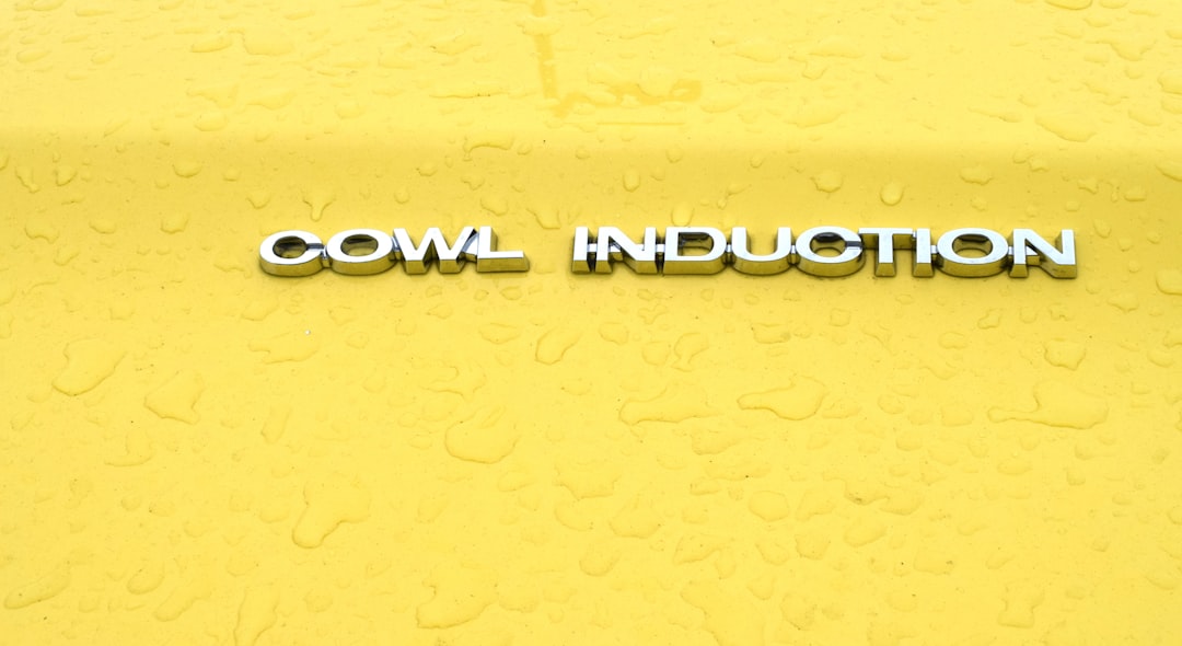 Induction.