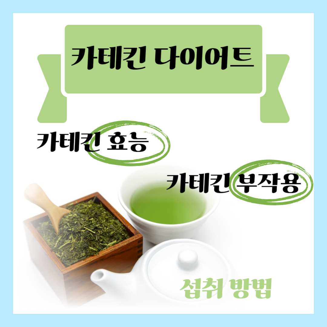 카테킨 다이어트 효과, 카테킨 효능 및 부작용