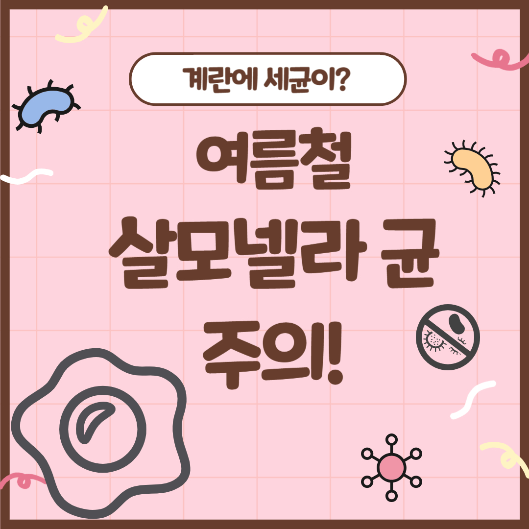 여름철 살모넬라균 썸네일