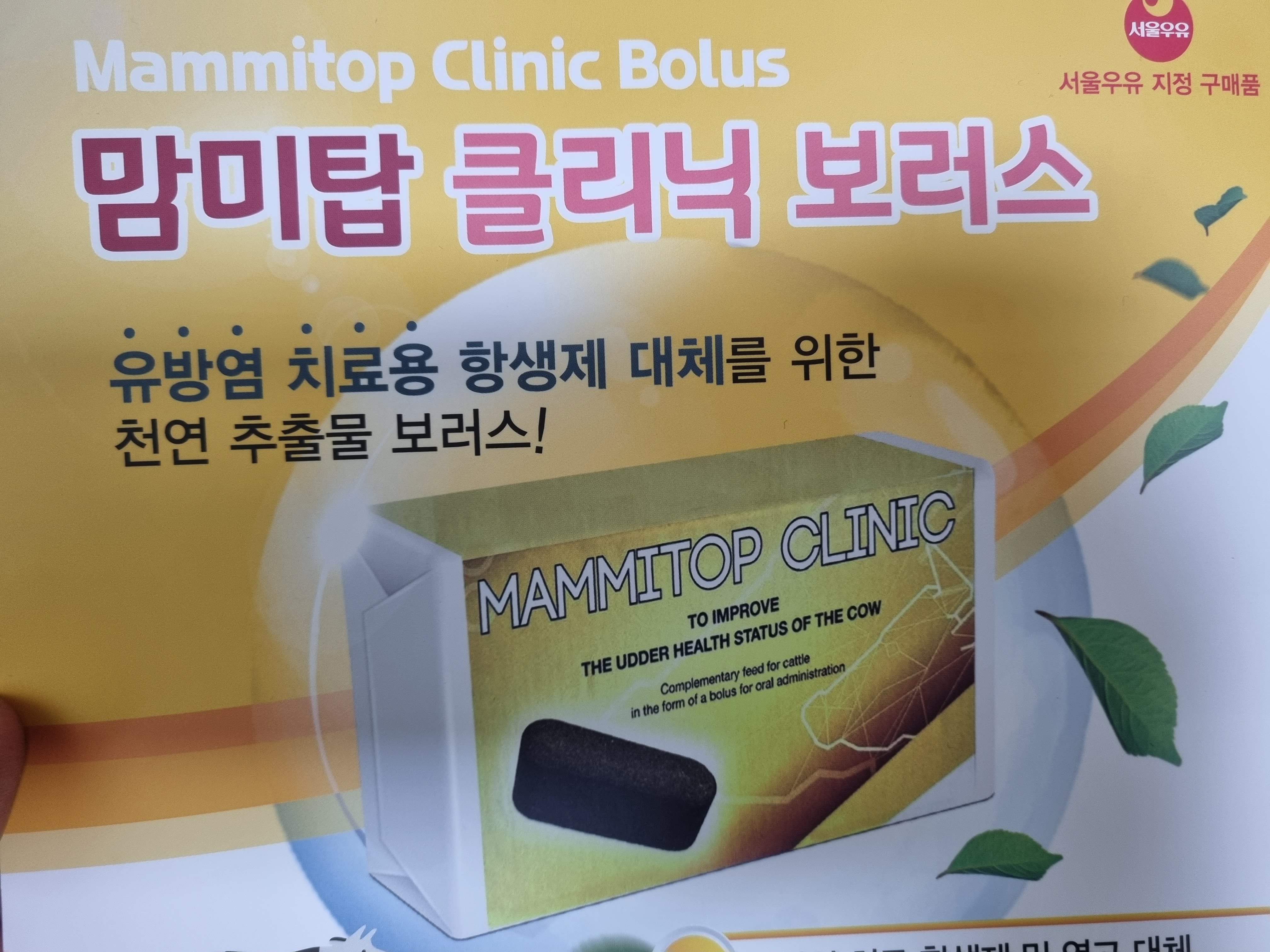  약품일지)젖소 급성 만성 유방염 치료제  천연 추출물 "맘미탑 클리닉 보러스"