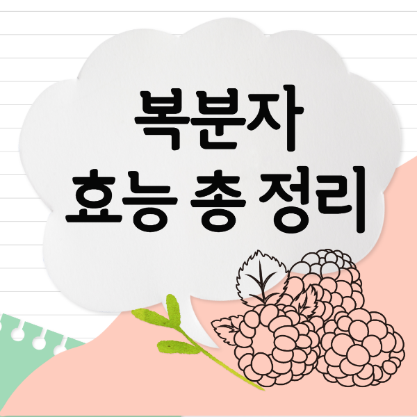  복분자 효능 총 정리 / 부작용 / 고르는 법 / 보관법 / 먹는 법