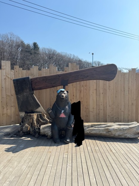 럿지 이미지