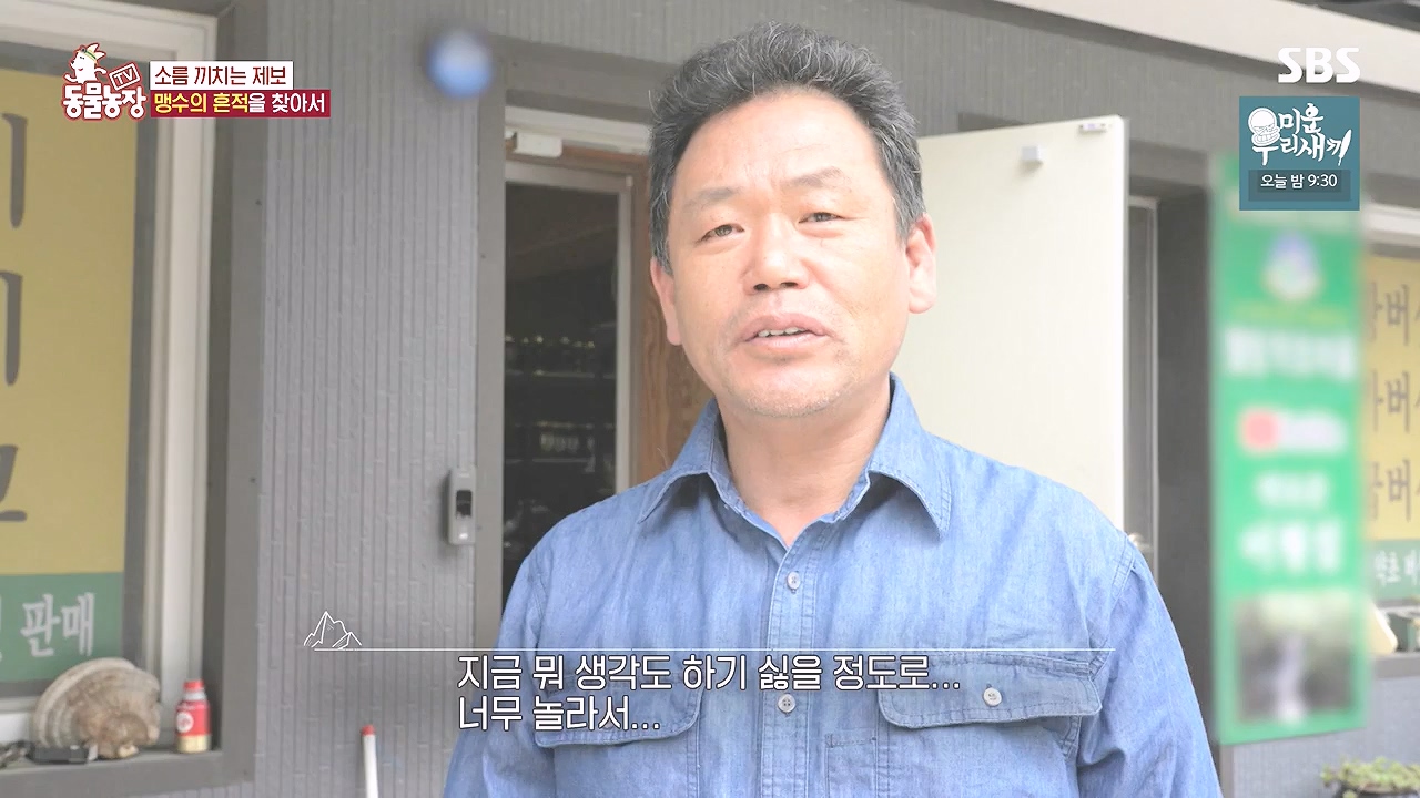 TV 동물농장.E1184.240812p-NEXT.mp4_20240811_172510.043.jpg