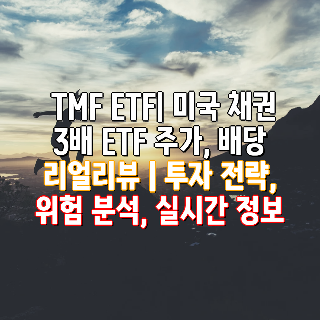  TMF ETF 미국 채권 3배 ETF 주가, 배당 리