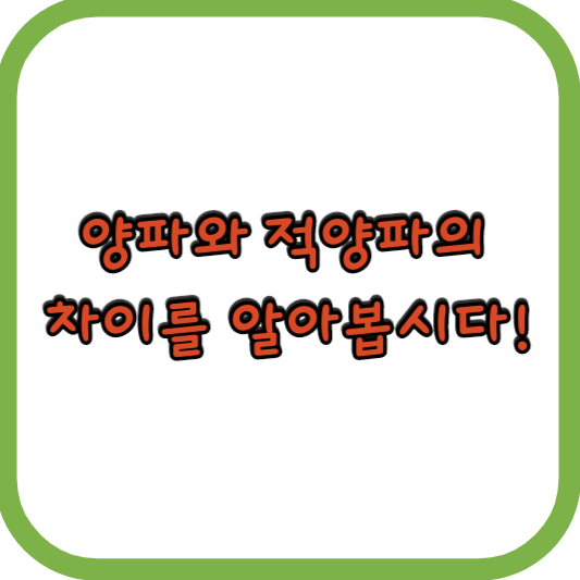  양파와 적양파의 차이를 알아봅시다!