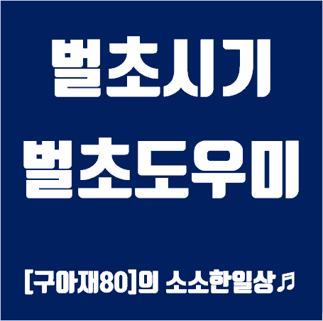 벌초시기