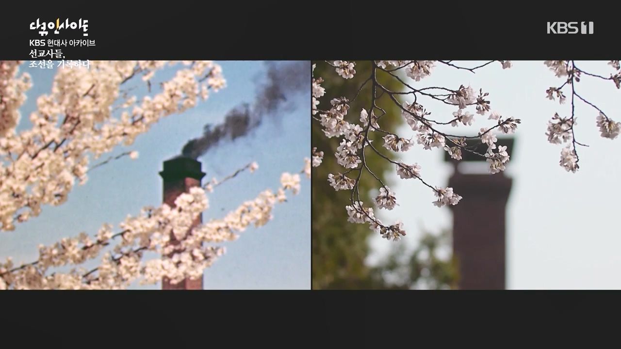 다큐 인사이트.E184.240510p-NEXT.mp4_20240510_204733.305.jpg
