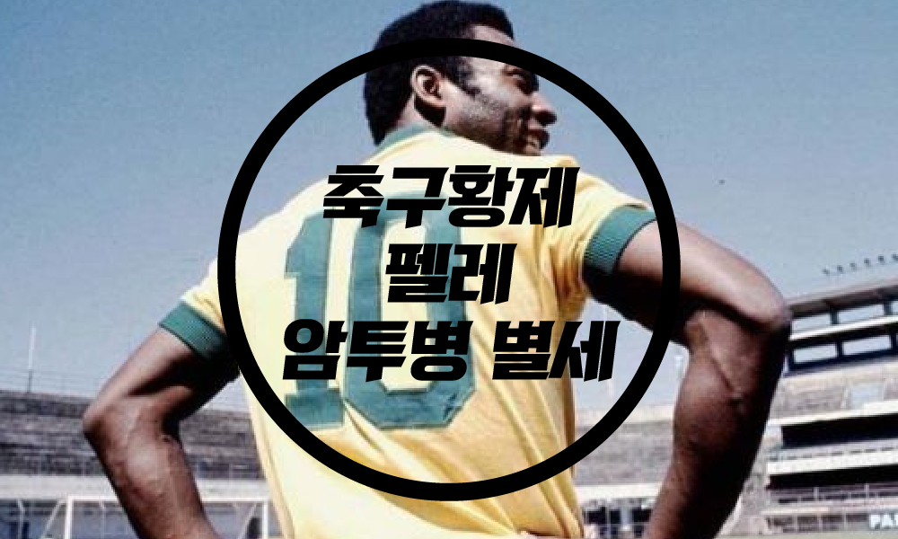  축구황제펠레 암투병 별세/향년 82세/펠레 정보
