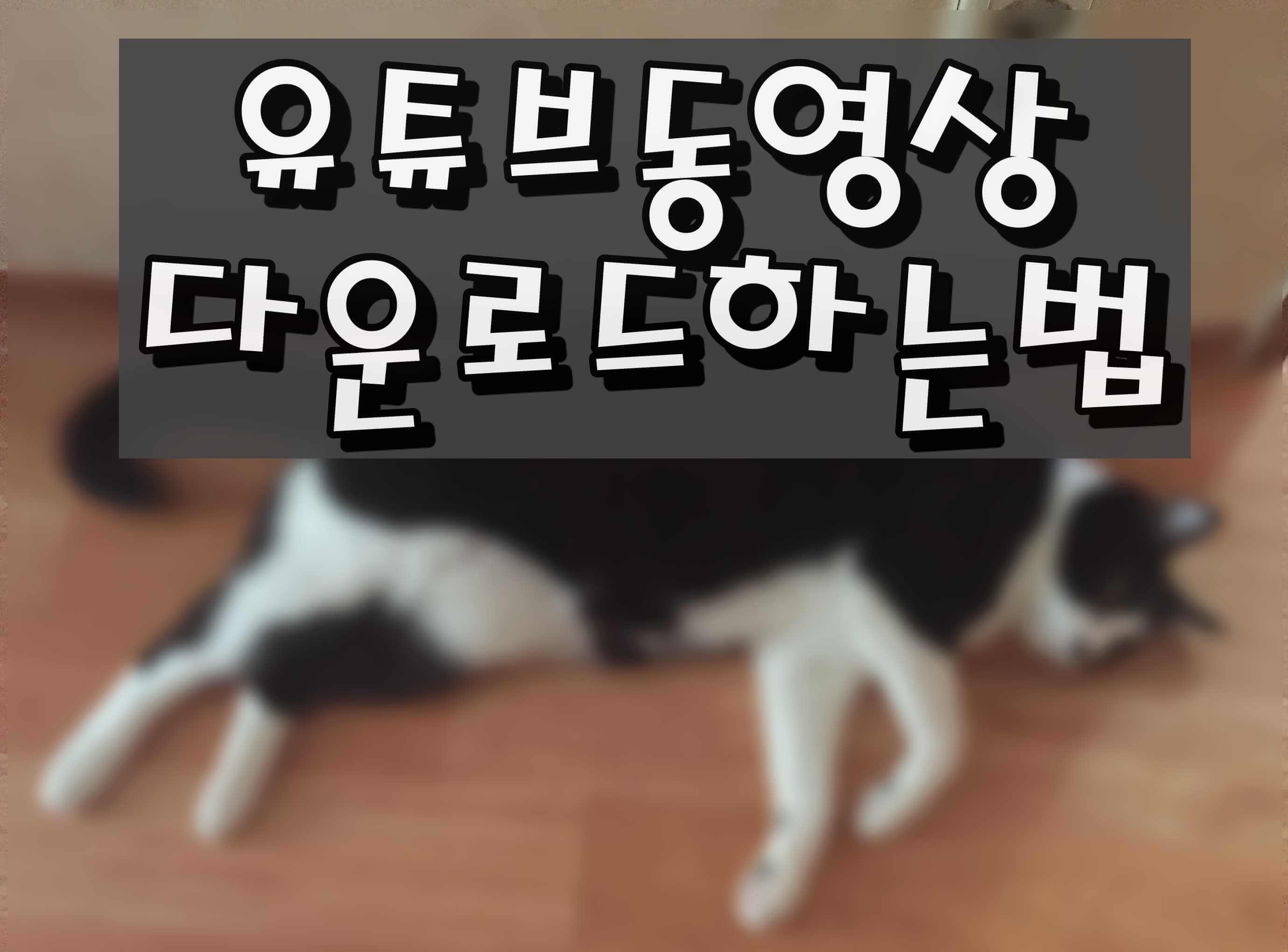  유튜브동영상다운로드하는방법 어렵지않아요