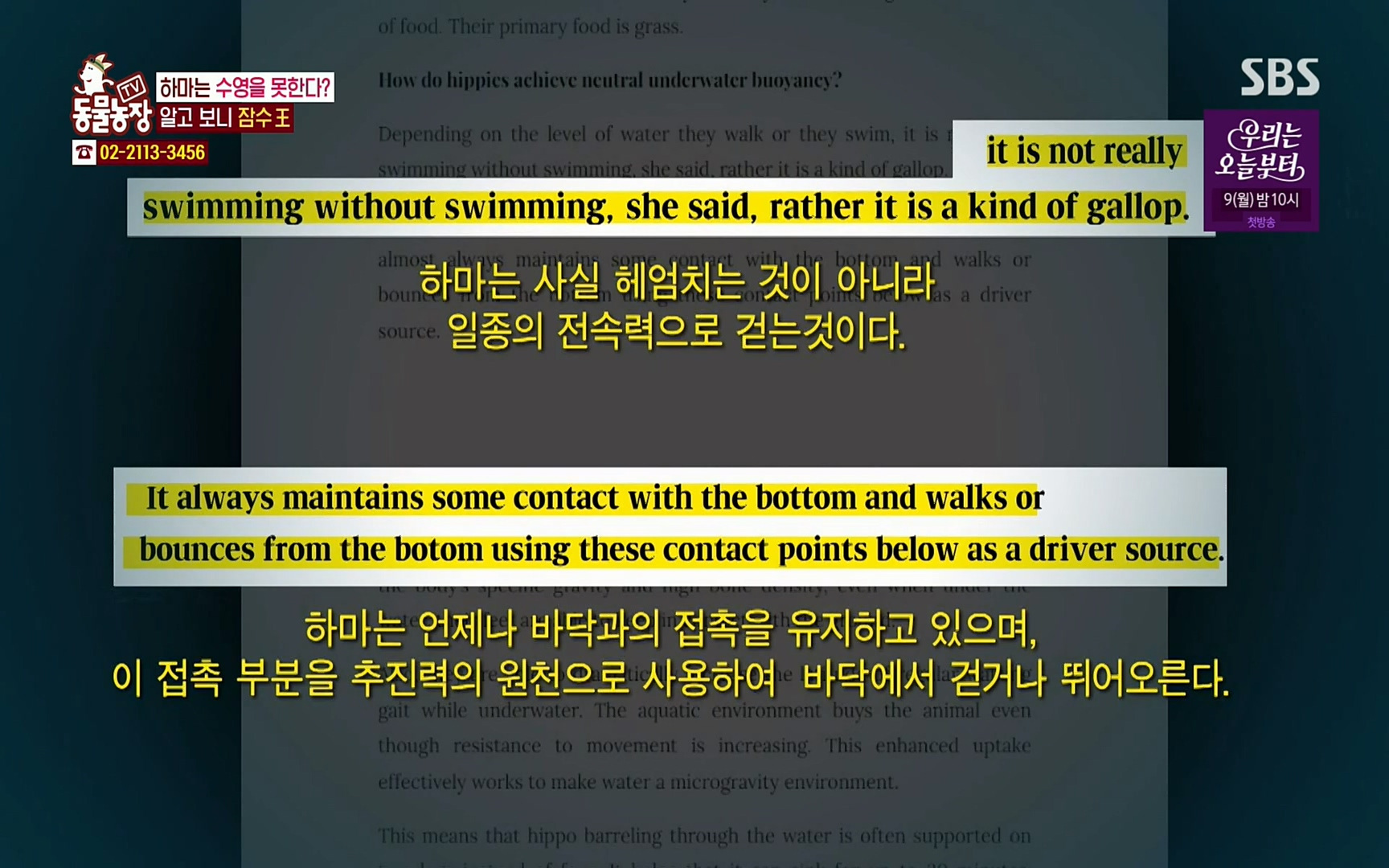 TV 동물농장.E1067.220501p.H264-F1RST.mp4_20220501_181250.888.jpg