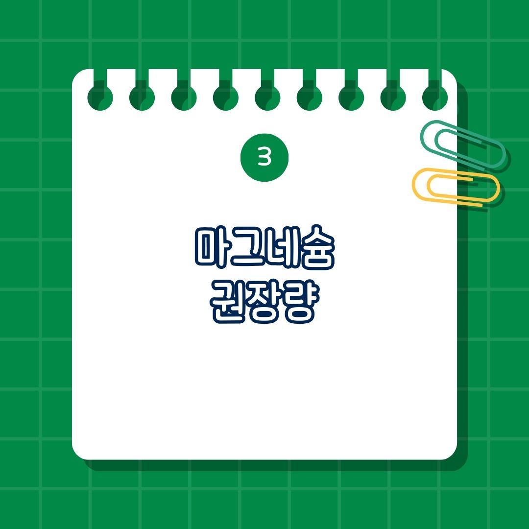 마그네슘(Magnesium) 권장량