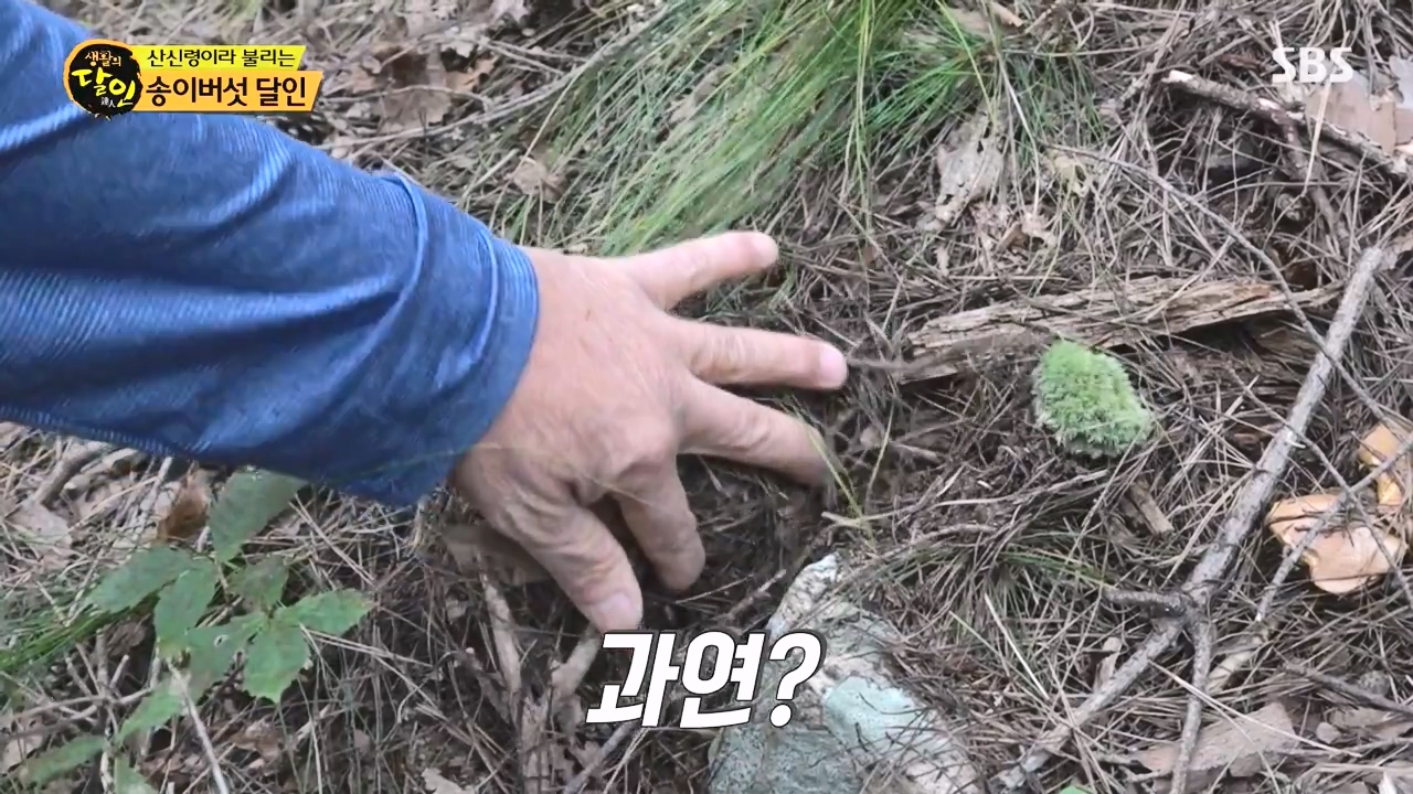 생활의 달인.E907.231010p-NEXT.mp4_20231010_202748.190.jpg