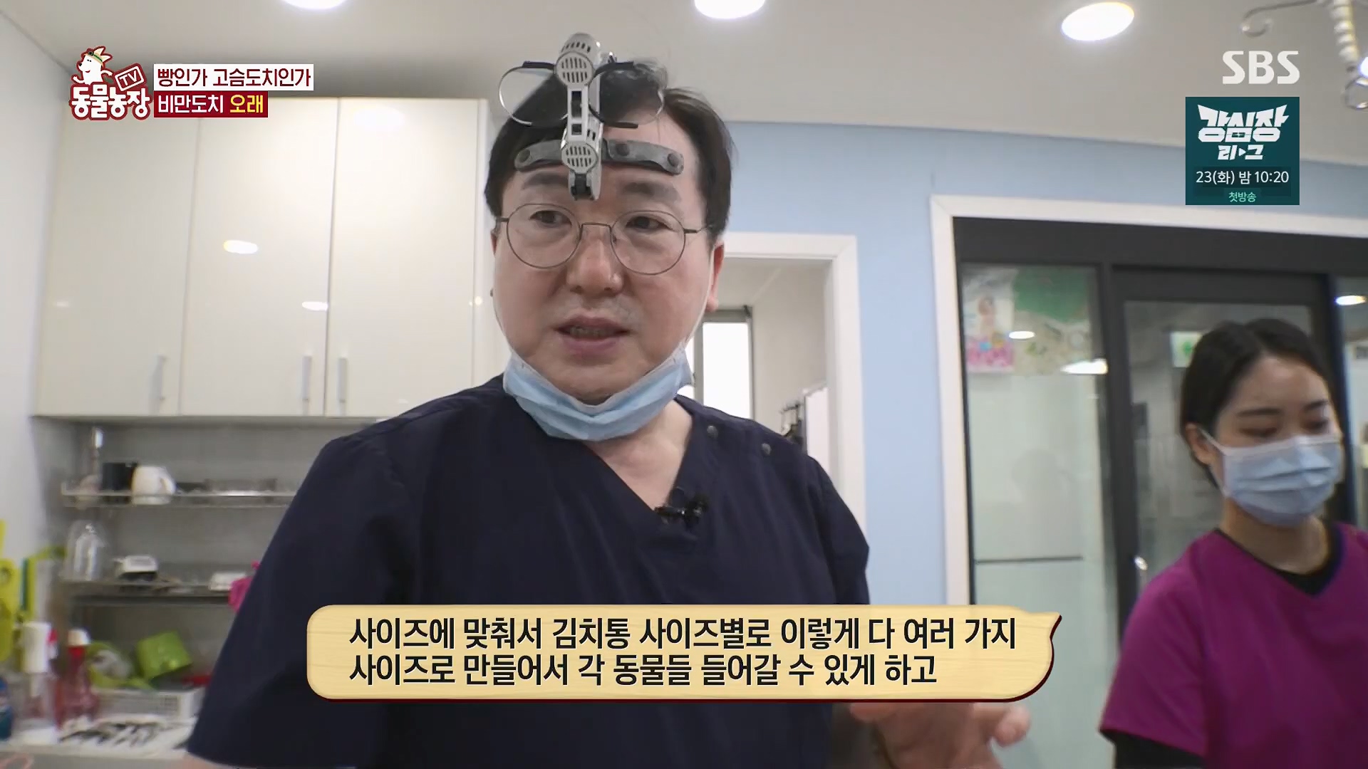 TV 동물농장.E1120.230514p.H264-F1RST.mp4_20230515_203533.320.jpg