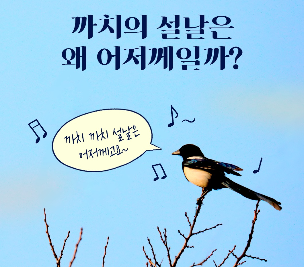 설날 대표곡 ‘까치까치 설날은 어저께고요~♪’ (정색) 왜 어제일까?