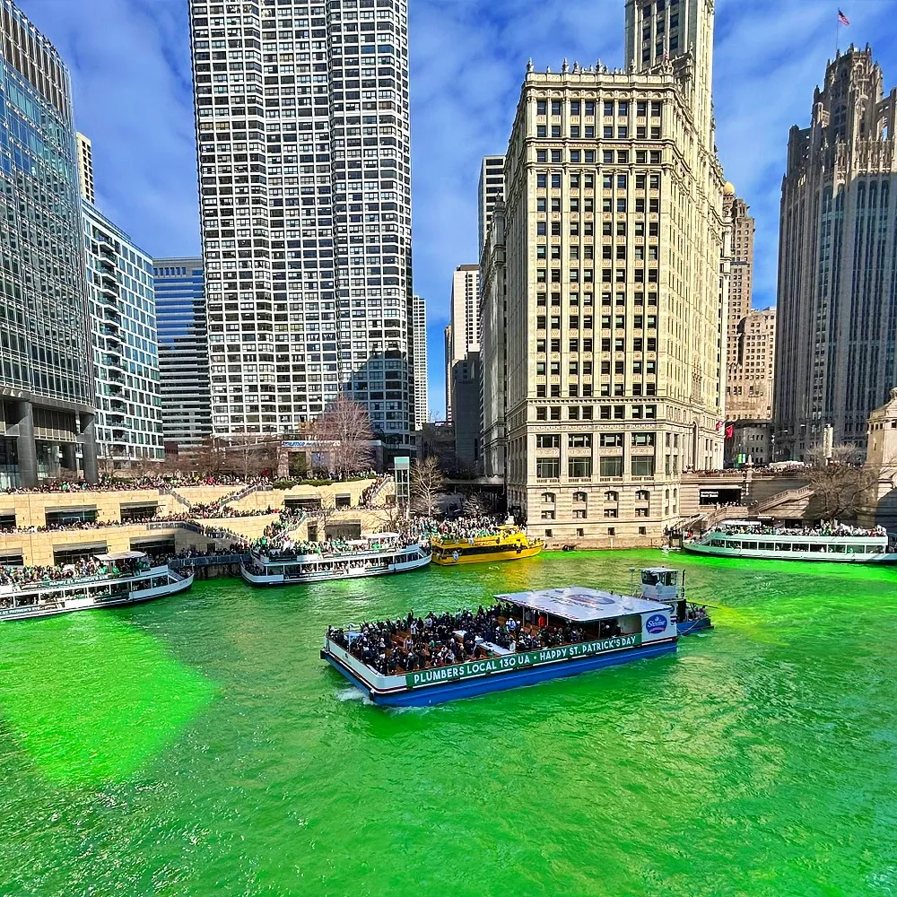 녹색으로 물든 시카고 리버