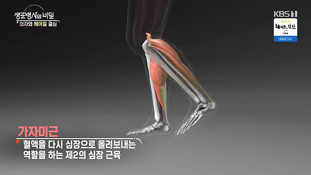 생로병사의 비밀 2024-11-27.mp4_20241128_201730.211.jpg