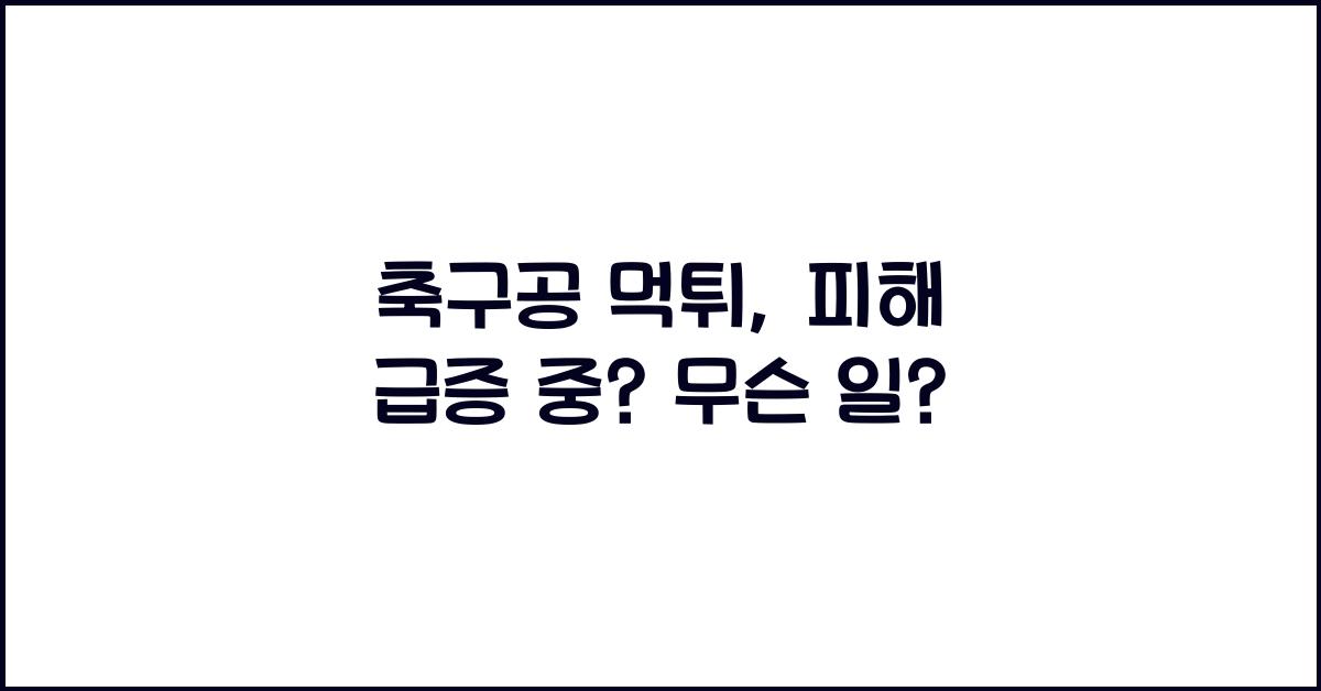 축구공 먹튀