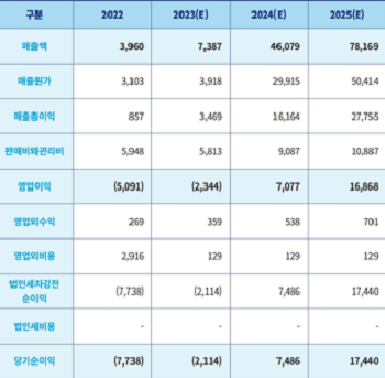 스마트레이더시스템 손익계산서