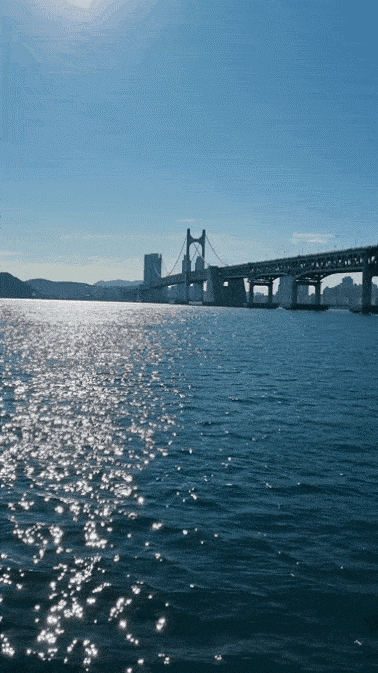 3355마린 부산요트투어 20