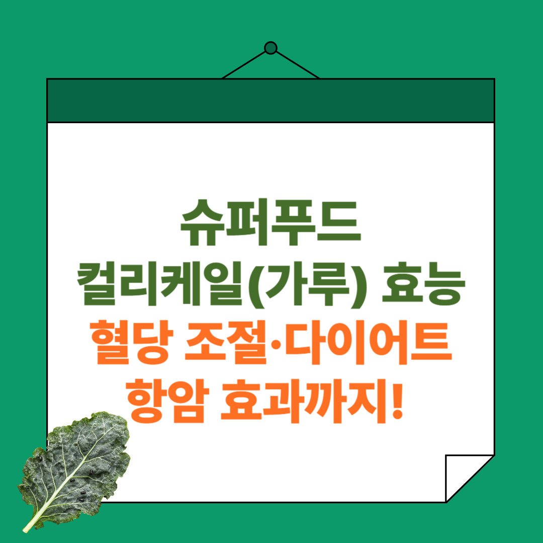 슈퍼푸드 컬리케일(가루) 효능, 혈당 조절·다이어트·항암 효과까지!
