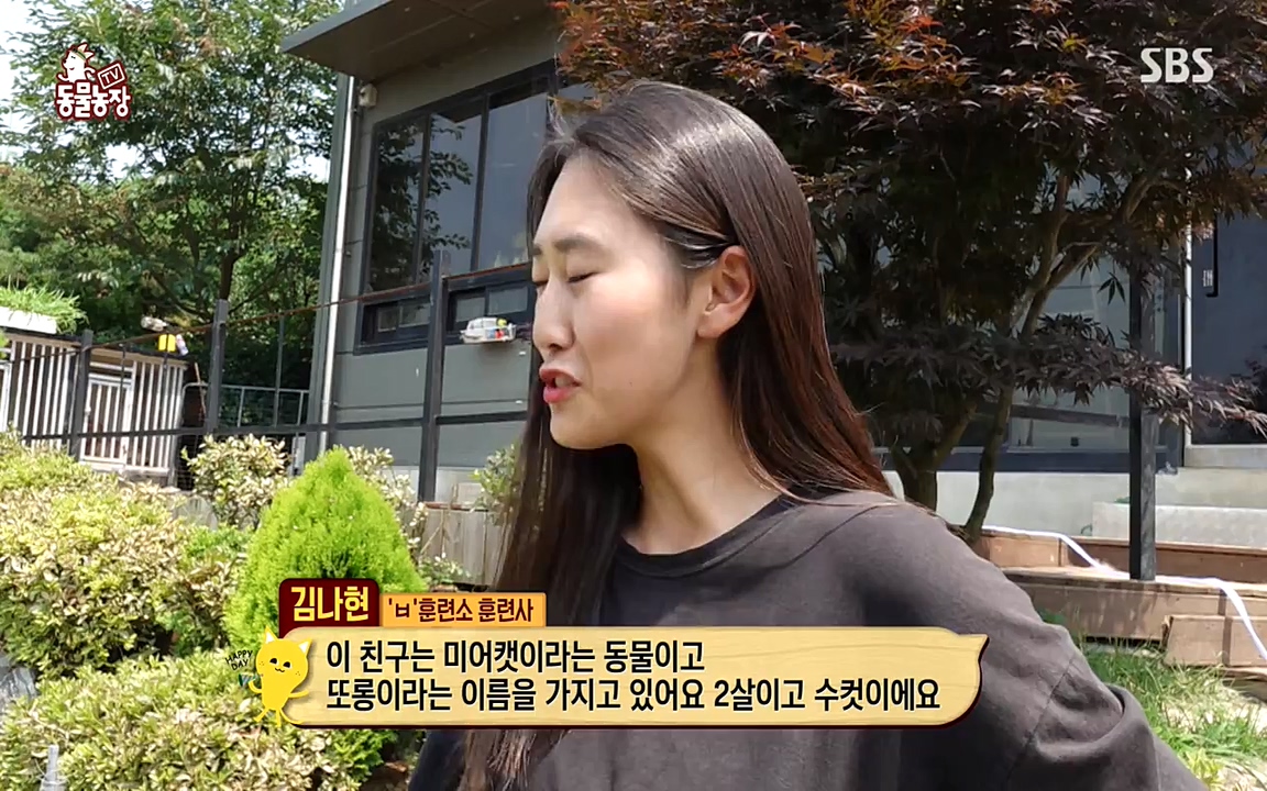 TV 동물농장.E1079.220725p-NEXT.mp4_20220724_151938.617.jpg