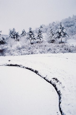 스노우 이미지