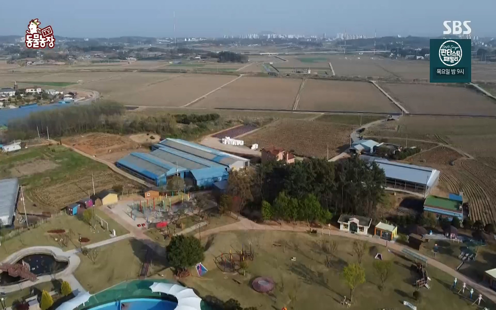 TV 동물농장.E1069.220515p.H264-F1RST.mp4_20220515_181249.900.jpg