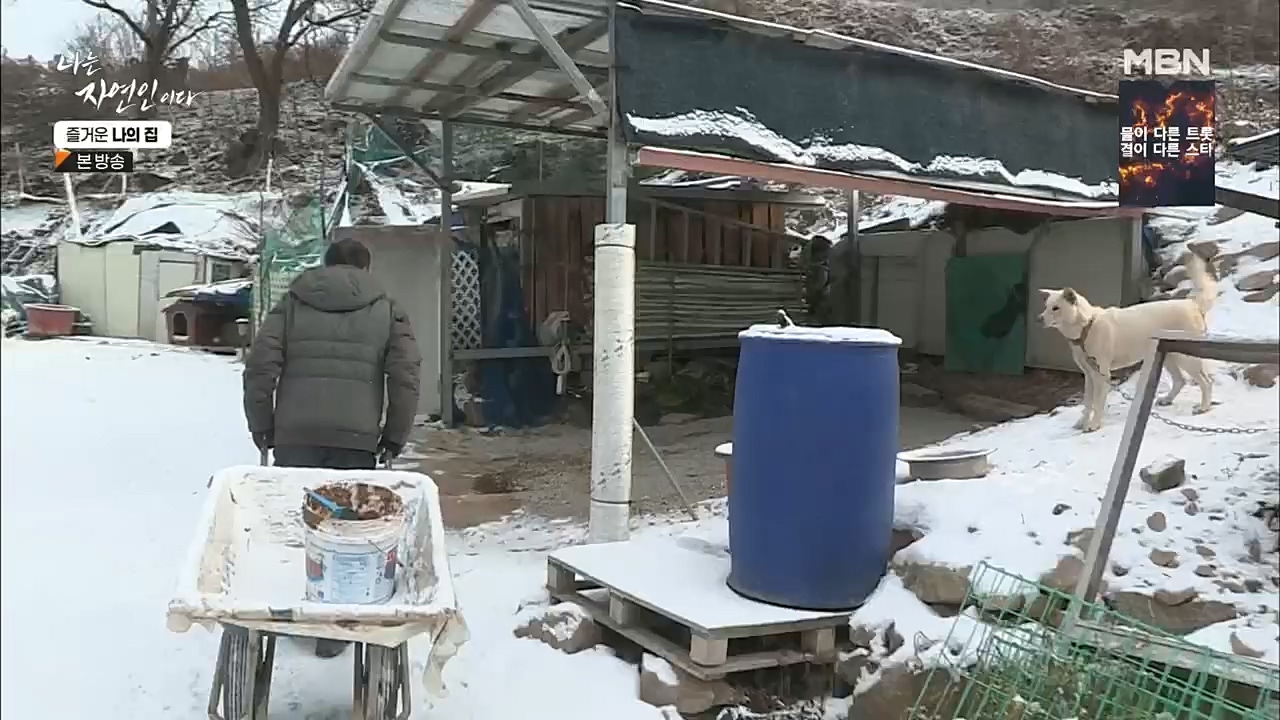 나는 자연인이다.E535.230105p.H264-F1RST.mp4_20230106_204008.314.jpg