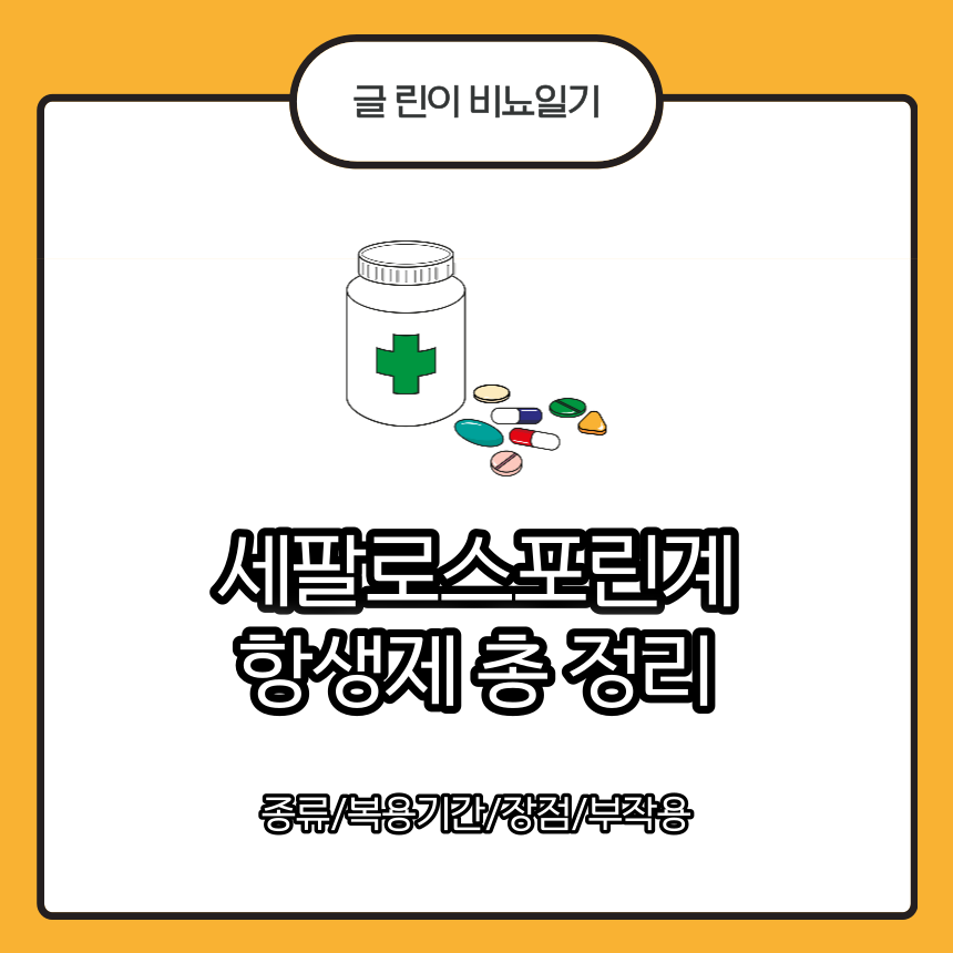  세팔로스포린계 항생제 총 정리 : 종류/복용기간/장점/부작용