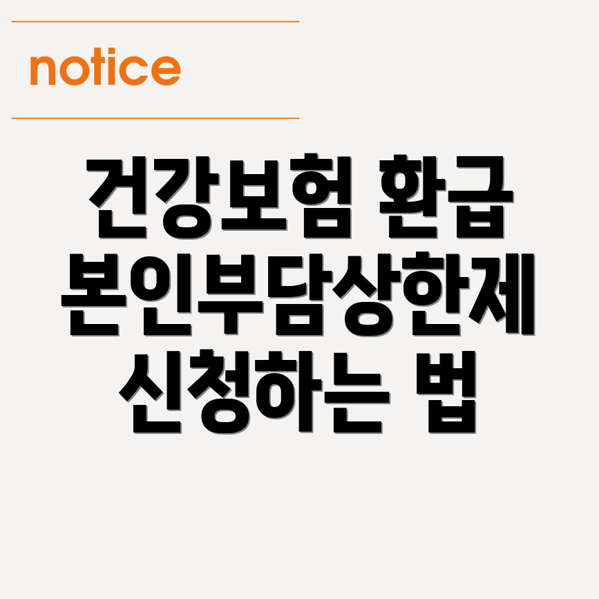 본인부담상한제