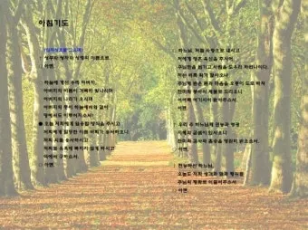 천주교 아침기도문 모음 10선_11