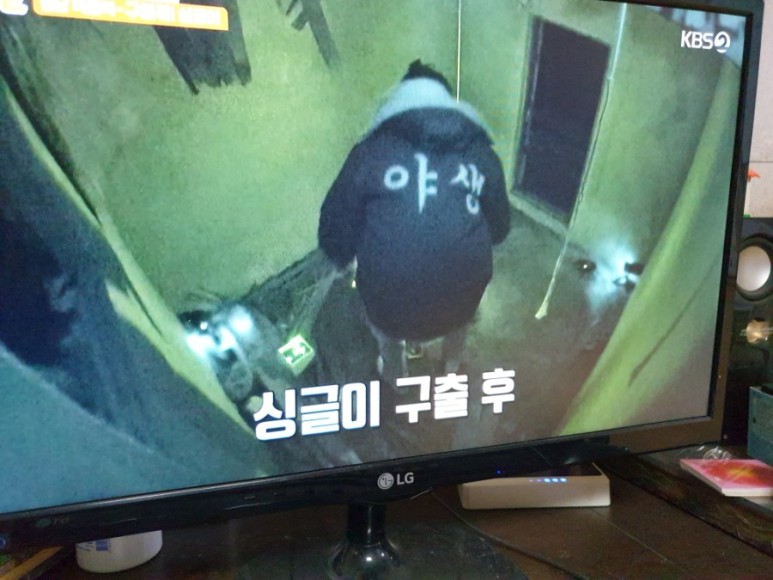 싱글이 구하기 침낭확보 2021년3월14일 6시30분 본방 다시보기 로 만든 1박2일 시즌4 방송나왔어요 kbs2tv 강원 화천 자연의맛 야생전지훈련촬영 3