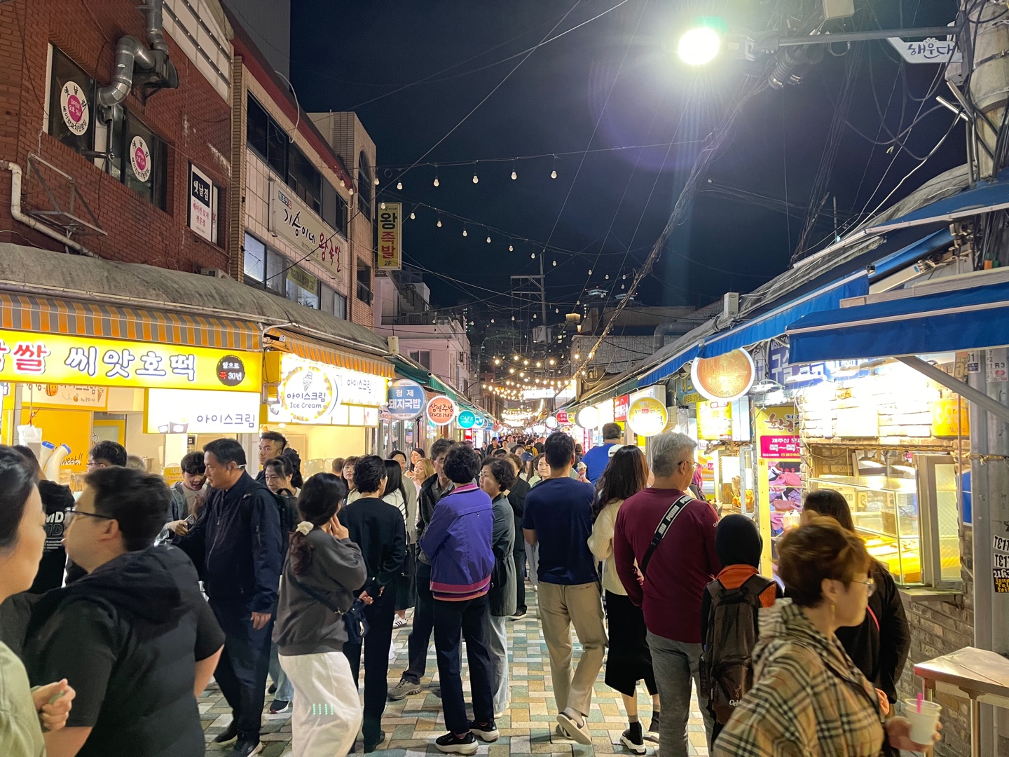 해운대 국화축제