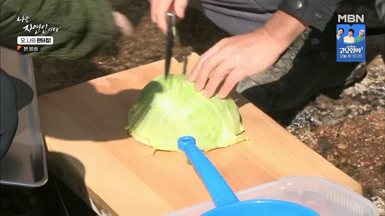 나는 자연인이다.E546.230323p.H264-F1RST.mp4_20230323_201533.882.jpg