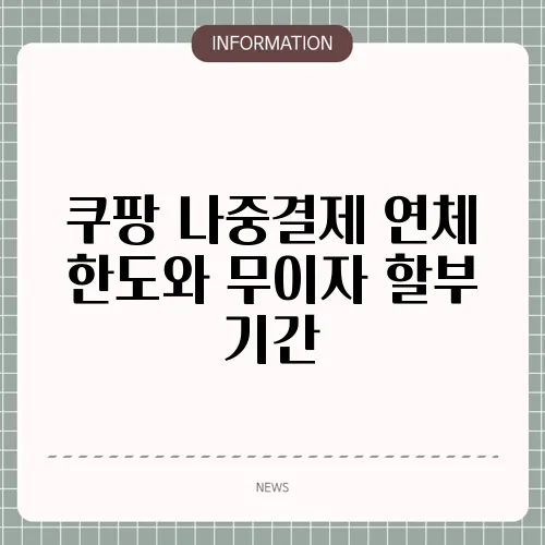 쿠팡 나중결제 연체 한도와 무이자 할부 기간