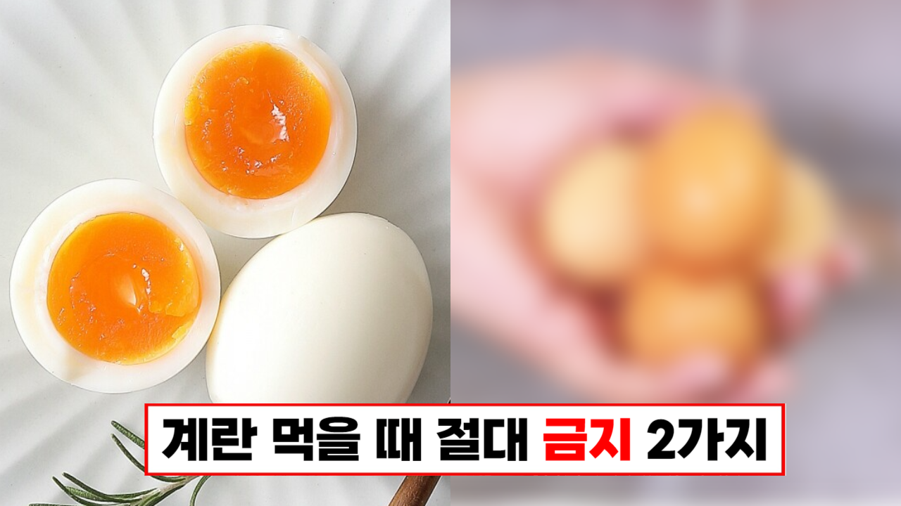 “계란 먹을 때 2가지는 절대 하지 마세요” 유통기한이 짧아지고 영양소 섭취가 50% 줄어듭니다.